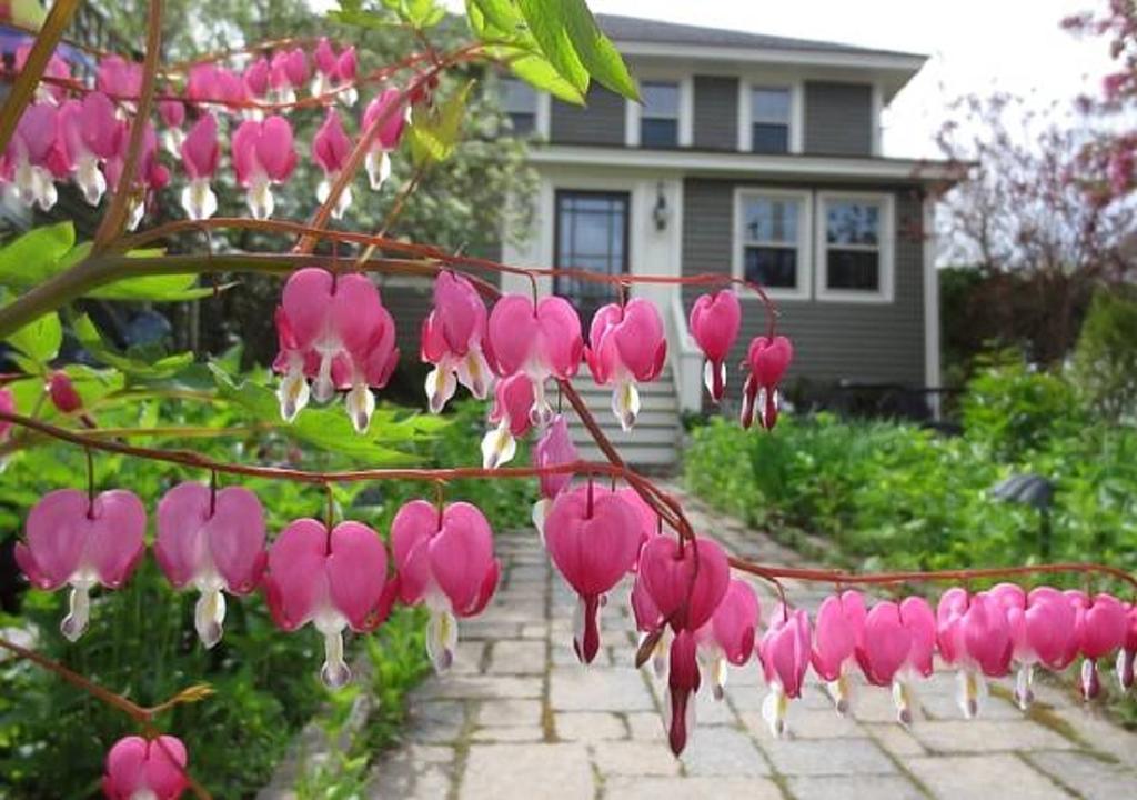 Ogunquit Beach Inn Luaran gambar